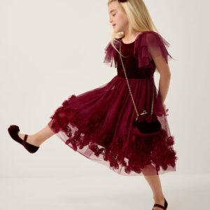 Eden Velvet Rose Appliqué Party Dress Red